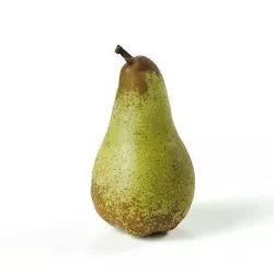 POLYPASTA - Pear 02 3D model