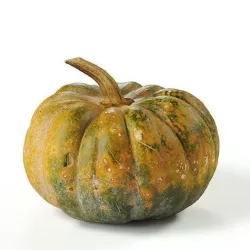 POLYPASTA - Pumpkin 01 3D model