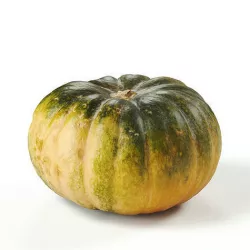 POLYPASTA - Pumpkin 02 3D model