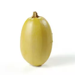 POLYPASTA - Pumpkin 04 3D model