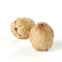 POLYPASTA - Walnut 01 3D model