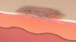 Simple Skin layer Healthy 3D model 3D model