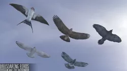 Soaring birds - animals for environment 3D model