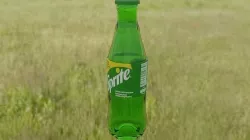 SPRITE Low-poly 3D model