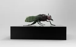 Waste fly with a greenish tint 3D model