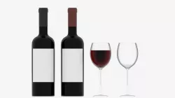 Wine Bottle and Wine Glass 3D model