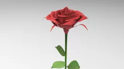 3D Rose  3D model