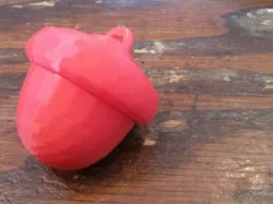 Acorn with secret compartment