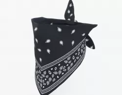 Anime Bandana 3D model