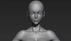 Anime Female Base Mesh 3D model 3D model