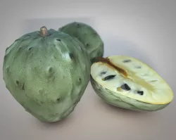 Cherimoya Fruit Low-poly  3D model