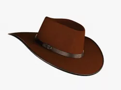 Cowboy Hat 3D model