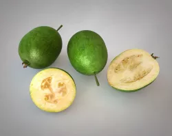 Feijoa Fruit Low-poly  3D model