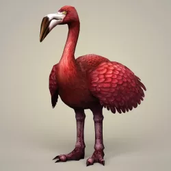 Flamingo Bird Low-poly  3D model