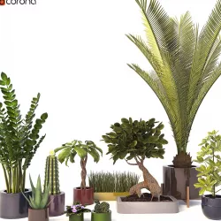 Flower set 3D model