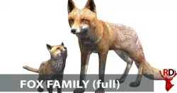 FOX FAMILY Low-poly  3D model