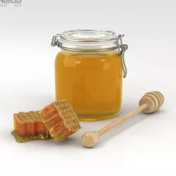 Honey 3D model