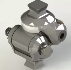 Knee Joint