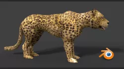 leopard  3D model