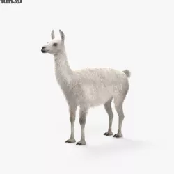 Llama HD 3D model