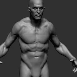 Male Anatomy v6 3D model