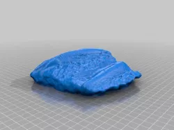 Orthoceras-1