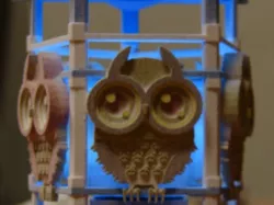 Owl night light