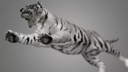 Photorealistic CGI Tiger Animation 3D Model Low-poly 3D model Low-poly  3D model