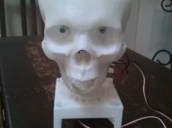 Robot Skull (Like Geoff off Craig Ferguson)