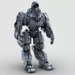 Skull Robot 3D model