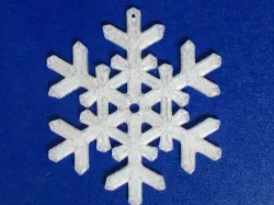 Snow Flake 016