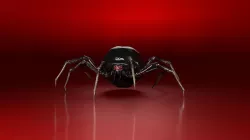 Spider 3D model