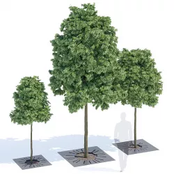 Sunny tree-grill 3D model