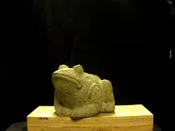 Tiny Frog