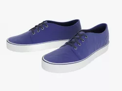 Vans Shoes Low-poly  3D model
