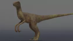 Velociraptor Low-poly  3D model