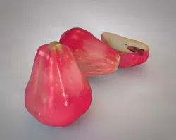Water Apple Low-poly  3D model