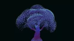 Whimsical Tree 3D model
