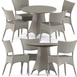 Amari Side chair and Amari Fully Woven table by Janus et Cie 3D model