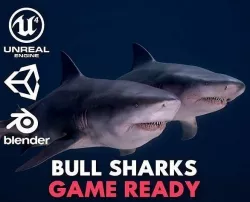 Bull Sharks Low-poly 3D model