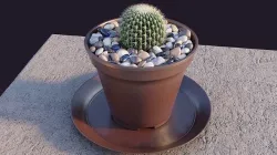 Cactus for computer desk 3D model