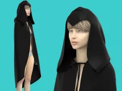 cape hood 3D model