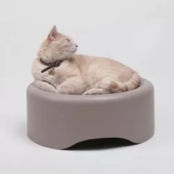 Catmonite Scratch Bed 3D model