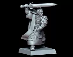 Chinese Hero of the Celestial Empire 3D model