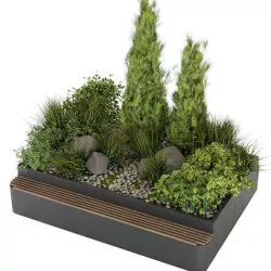 Collection plant vol 284 - indoor - pine - leaf 3D model