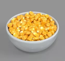 Corn kernel 3D model