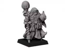 Empire Wizard Lord 3D model