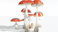 EVERYPlant Fly Agaric 04 --12 Models-- 3D model