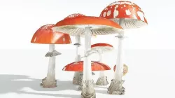 EVERYPlant Fly Agaric 10 --12 Models-- 3D model