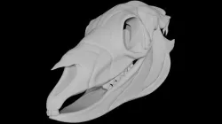 Horse Skull Low-poly 3D model